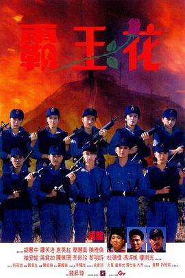 《爱情综合症前传》